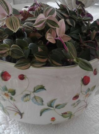 Pot vase faïence anglaise 