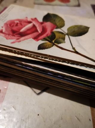 LOT 95 cartes postales de fleurs