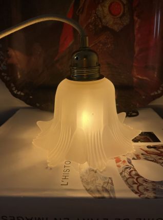 Lampe baladeuse vintage en verre en forme de fleur