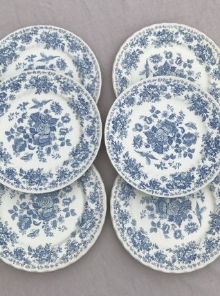 Série de 6 assiettes - en porcelaine anglaise