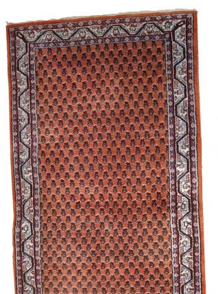 Tapis vintage Indien Seraband fait main, 1C742