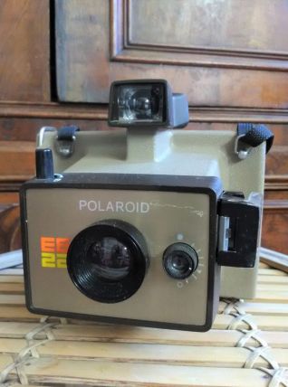 Polaroid EE22 