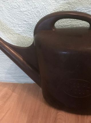 Arrosoir style indus