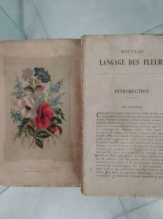 Ancien Livre Le Langage Des Fleurs 