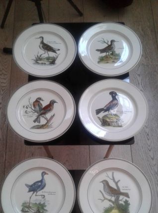 Assiettes Villeroy &amp; Boch Paradisio.