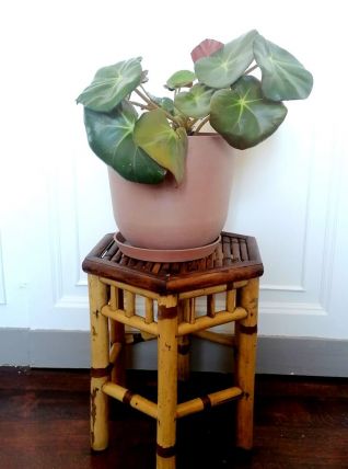 Bout de canapé sellette en bambou vintage 