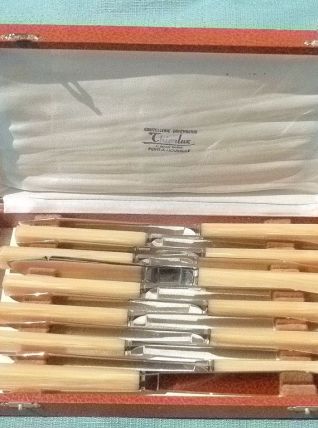 12 couteaux,  vintage  avec  coffret