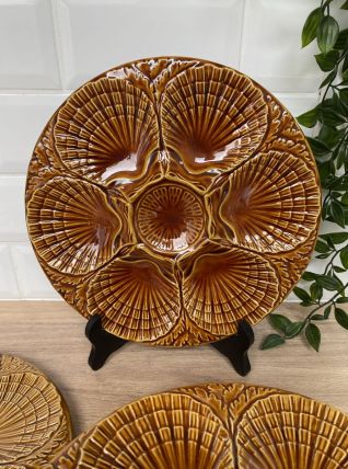 Set de 6 assiettes à coquillages 