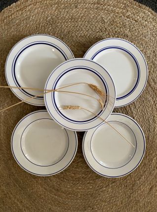 5 assiettes plates aux liserés bleus.