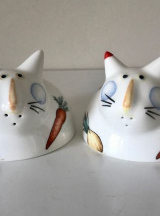 Salière et Poivrière Villeroy et Boch