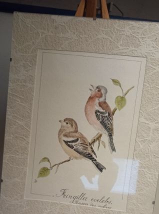 Empreinte d'une paire de Chaffinch