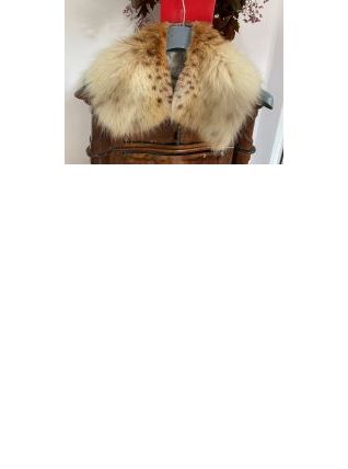 col en fourrure de lynx canadien non chinchilla    renard