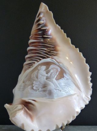 Lampe veilleuse coquillage camée décor mythologique