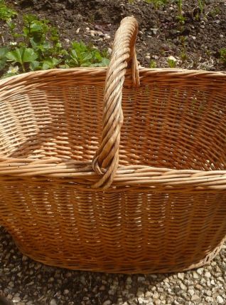 panier  de culture  en  rotin  