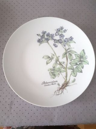 Assiette Porcelaine Winterling. Mobil. 24.5 Cm. (2).