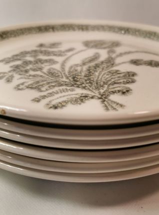 6 Assiettes en Céramique décor Floral Botanique Vintage TBE
