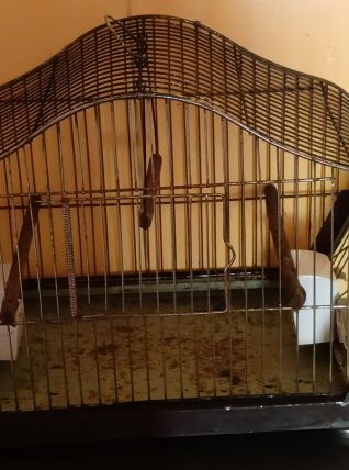 Cage à oiseaux en métal avec mangeoires en porcelaine.