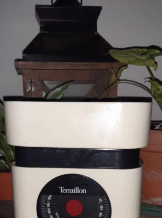 balance terraillon 