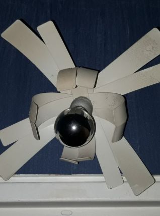 Applique murale Fleur de lumière  Oxar 1970