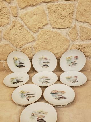 12 assiettes motifs poisson en porcelaine de Limoges