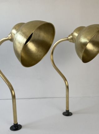 PAIRE D’ANCIENNES APPLIQUES COL DE CYGNE VINTAGE