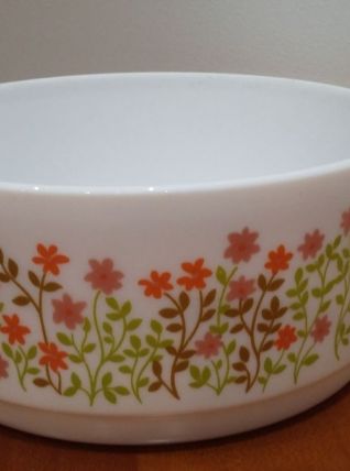 Très Joli Saladier Scania Arcopal Vintage