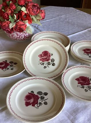 16 assiettes plates Badonviller modèle Germaine 