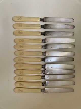 12 couteaux à dessert argent et os 