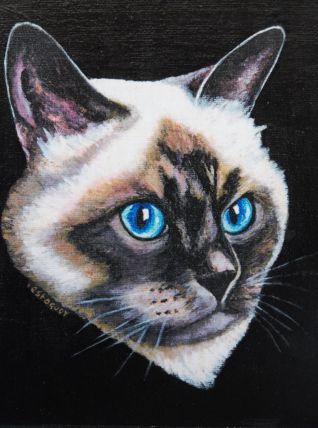 Portrait de chat. Peinture chat birman aux yeux bleus. Repro
