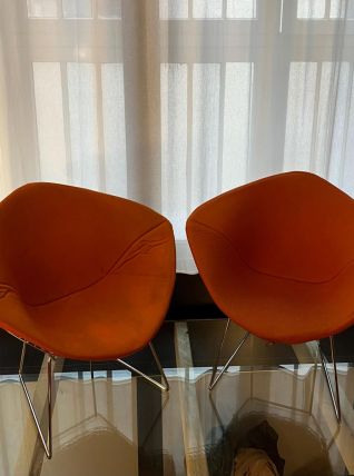 Paire de fauteuils Knoll Bertoia Diamond orange