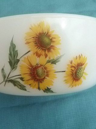 plat  ARCOPAL, vintage