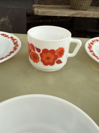 Lot lotus Arcopal 6 pieces 