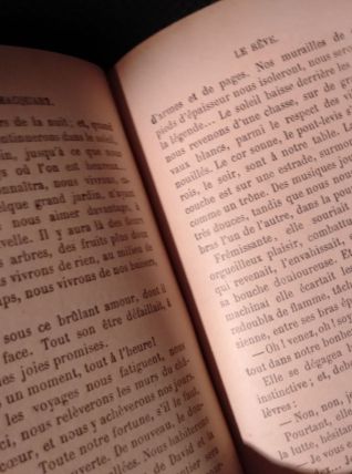 Le rêve d'Emile Zola (1901)