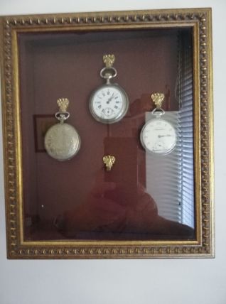 Vitrine pour 4 montres à goussets 