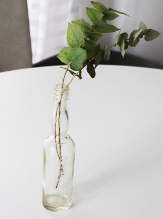 Bouteille Docteur Pinard vintage de collection