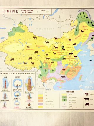 Affiche carte vintage 