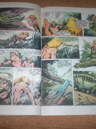 BD rahan la sorcière aux yeux clairs 