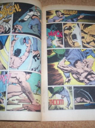 BD MARVEL LE PUNISHER NO 1 DE 1987 