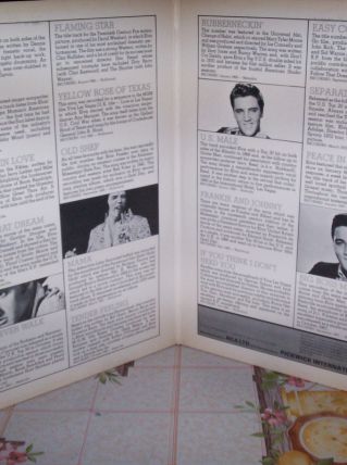 DOUBLE DISQUES  33 TOURS ELVIS PRESLEY 