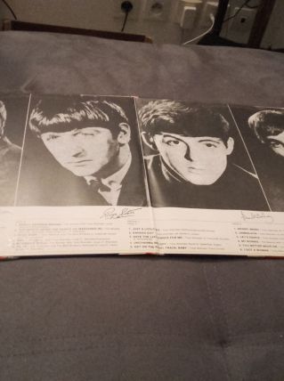 Vinyle the Beatles first