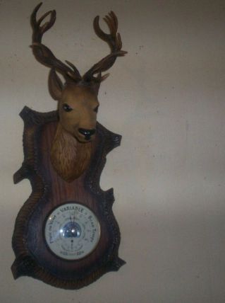 ancien barometre tete de cerf + de 40 cm de haut 