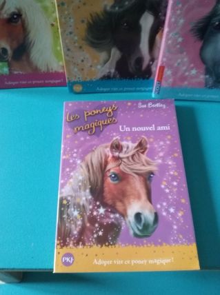 les poneys magiques