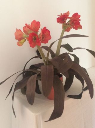 FLEURS ARTIFICIELLES en tissu