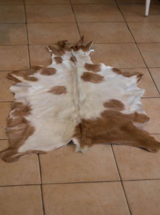 Peau naturelle de chèvre