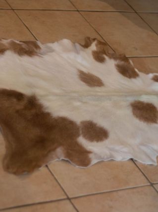 Peau naturelle de chèvre