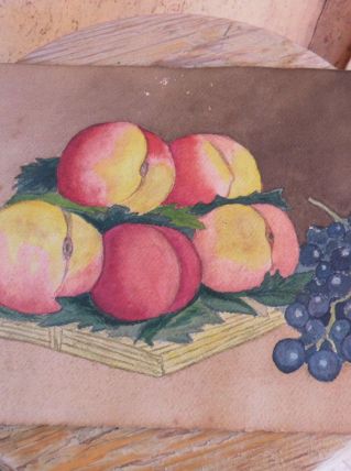 dessin en peinture coupe de fruits