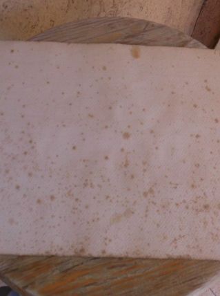 dessin en peinture coupe de fruits