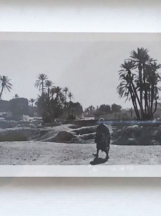 Photo vintage Palmeraie Marrakech années 30