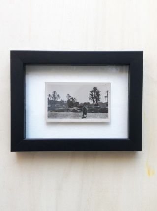 Photo vintage Palmeraie Marrakech années 30