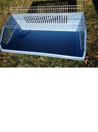 cage pour cochon d inde